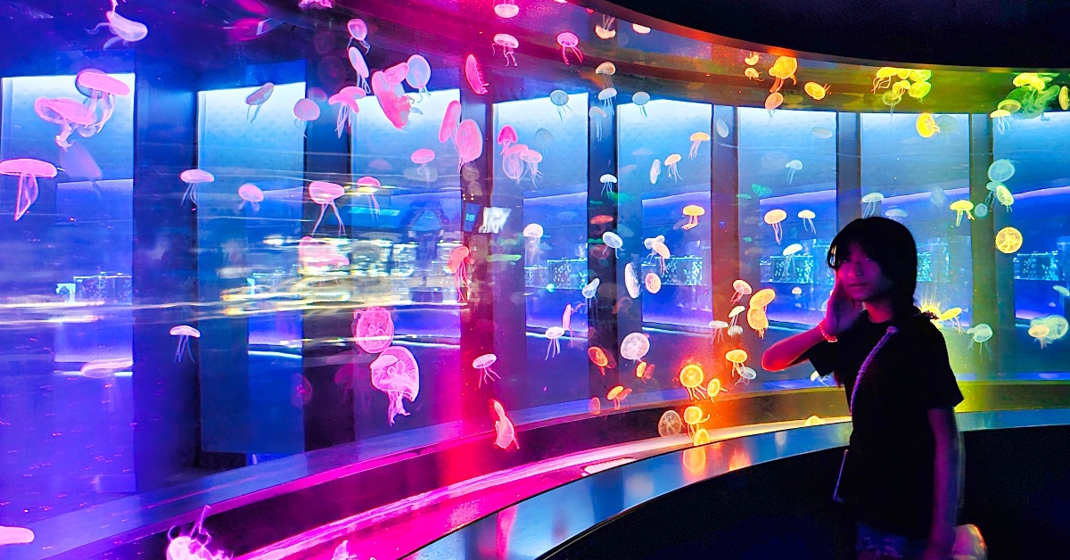京都景點》京都水族館~巨大山椒魚太驚人!! 還有可愛企鵝、海豹、療癒水母牆 @嘿!部落!