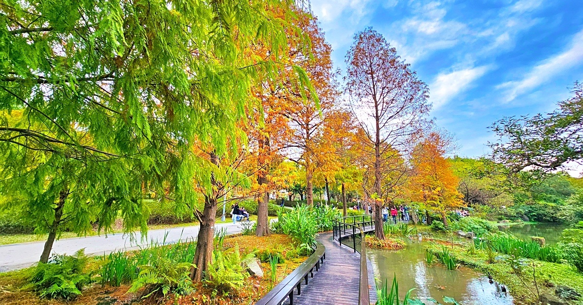 即時熱門文章：【大安森林公園落羽松】水岸落羽松木棧道太夢幻，搭捷運就能到的台北免費落羽松秘境