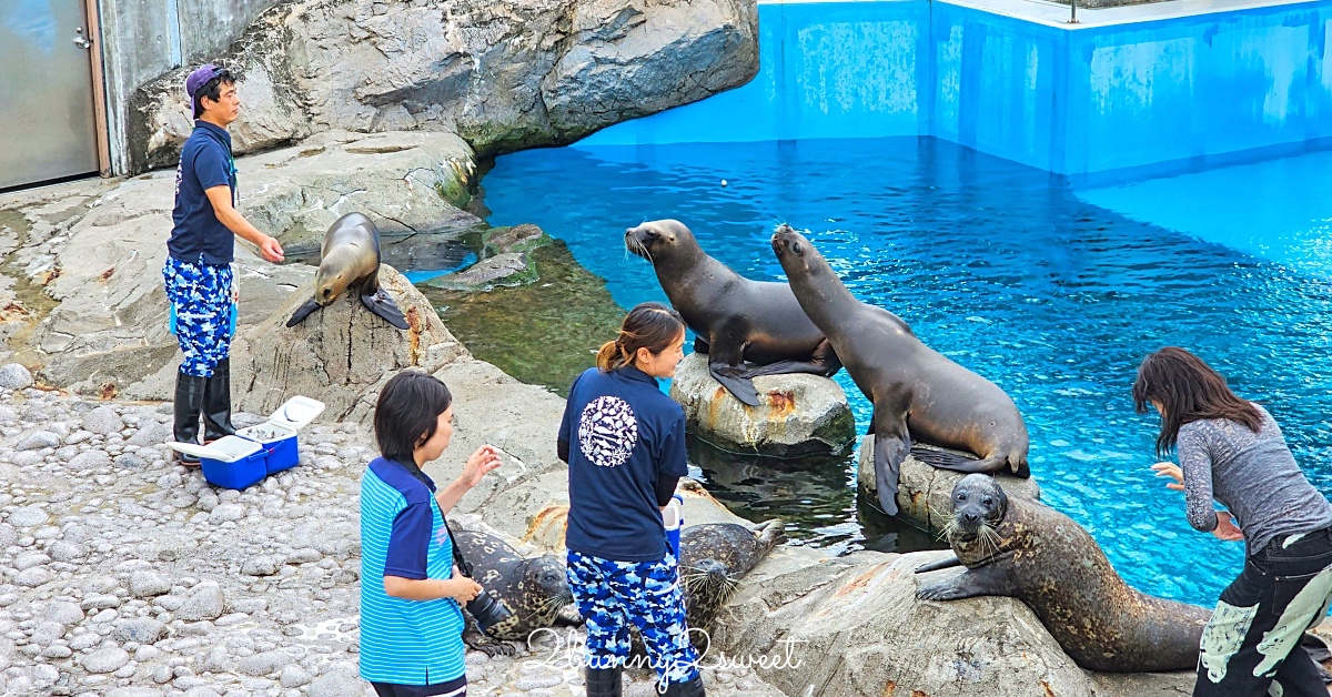 橫濱景點「橫濱八景島海島樂園」四座水族館＋14項遊樂設施～整座島就是一個海洋樂園 @嘿!部落!