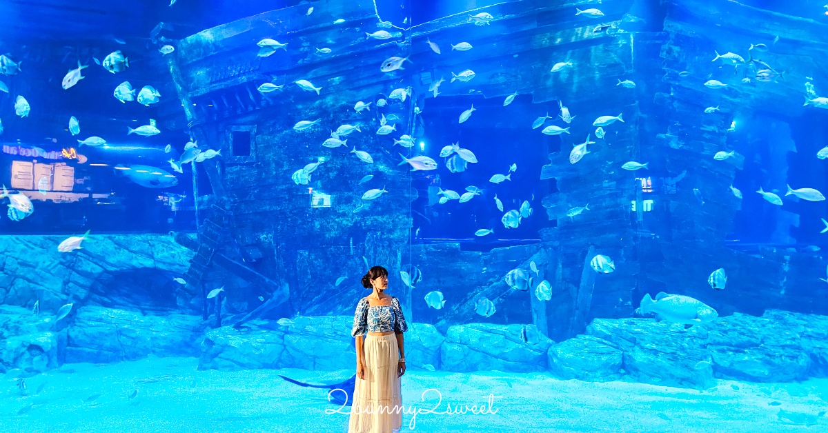 河內樂天世界水族館 Lotte World Aquarium Hanoi｜北越最親子景點，吹冷氣探索海底世界 @嘿!部落!