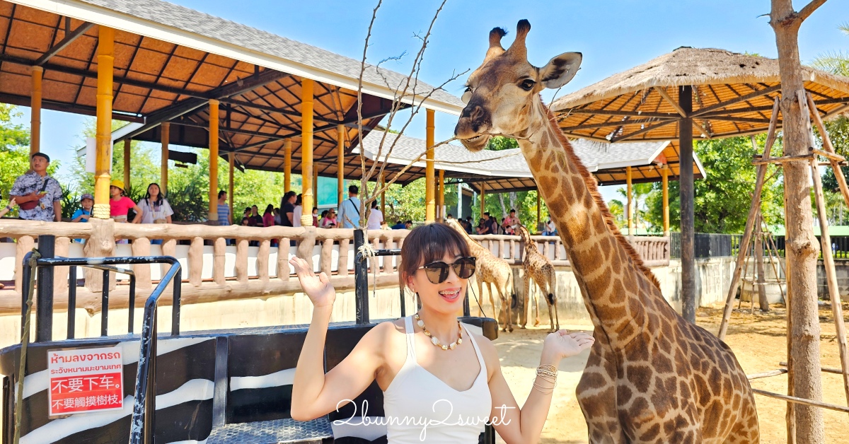 泰國大城景點「大城動物園」吉普車長頸鹿合照，還能牽獅子老虎的 Sriayuthaya Lion Park @嘿!部落!