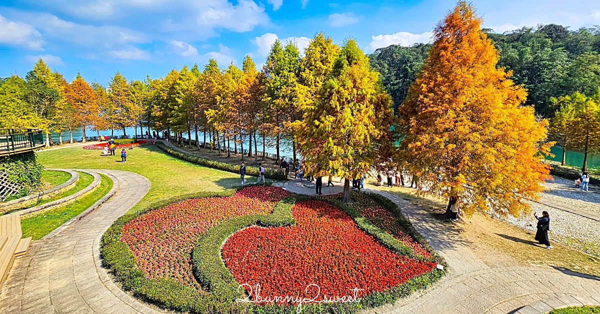 南投日月潭落羽松「向山落羽松」日月潭自行車道、向山遊客中心旁雙心花園太美太好拍 @嘿!部落!