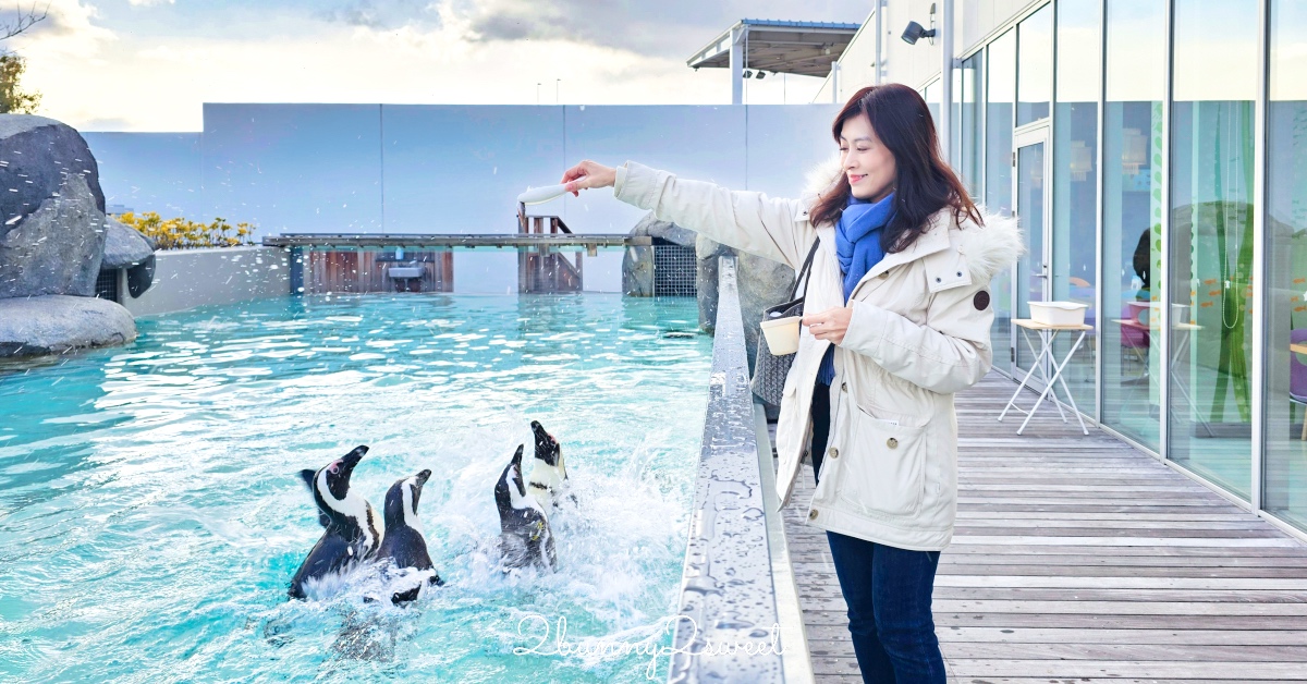 仙台景點「仙台海洋之森水族館」和企鵝互動餵食的療癒親子景點｜仙台うみの杜水族館 @嘿!部落!