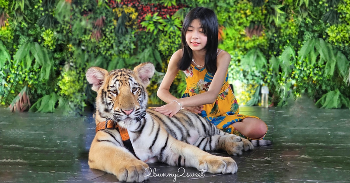 曼谷景點「Cafe Mini Zoo Garden River 8」可以看長頸鹿、和老虎合照～根本小型動物園 @嘿!部落!