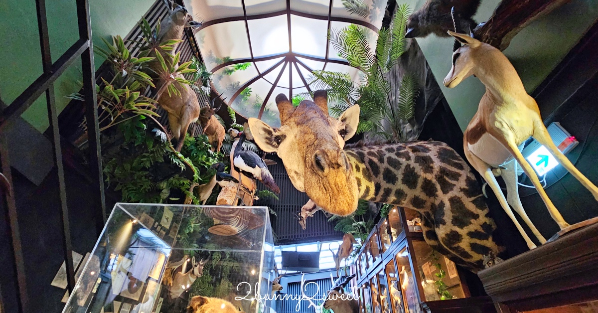 台南景點「仰角舶物民權店」彷彿博物館驚魂夜的標本博物館，長頸鹿就在眼前太震撼 @嘿!部落!
