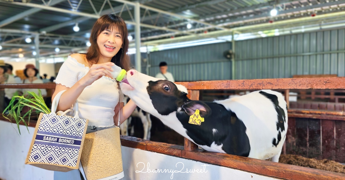 沙巴景點【德薩乳牛牧場 Desa Cattle Dairy Farm】神山必訪小紐西蘭，餵牛牛、吃冰淇淋 @嘿!部落!
