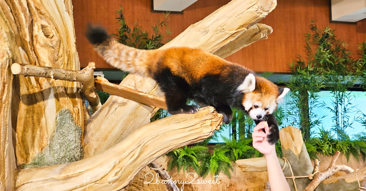 沖繩北部親子景點｜名護自然動植物公園 Neo Park 全攻略：交通、門票、亮點一次看 @嘿!部落!
