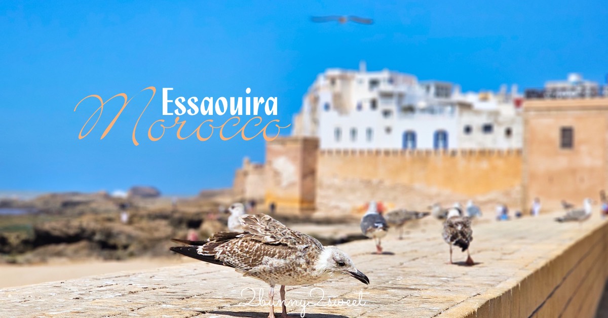 摩洛哥【索維拉 Essaouira】迷人海港古城藍白小鎮，權力遊戲拍攝地點必吃必玩攻略 @嘿!部落!
