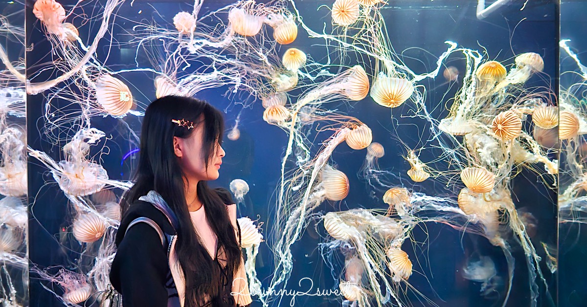 釜山 SEA LIFE 水族館攻略｜海雲台必玩景點！海底隧道、魟魚玻璃觀景區、水母秘境一次看 @嘿!部落!