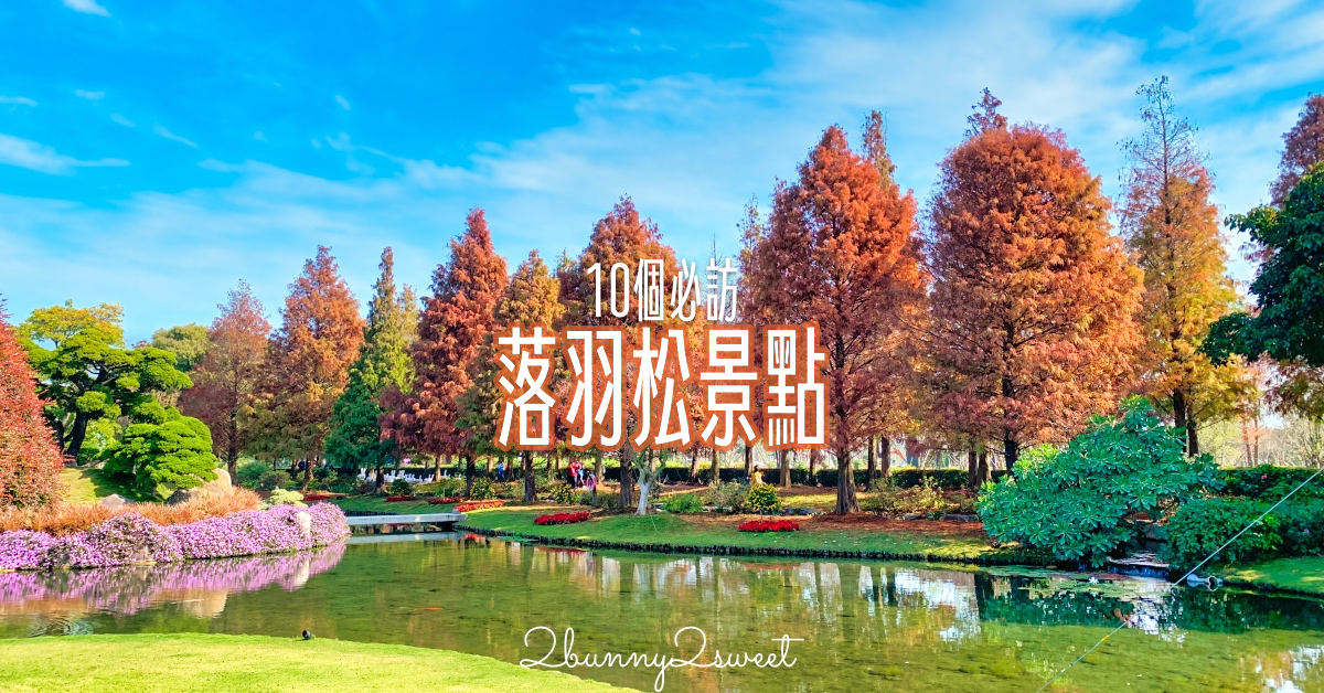 冬季限定!! 10 個必訪絕美「落羽松景點」推薦，落羽松大道、水上落羽松～漸層色夢幻森林