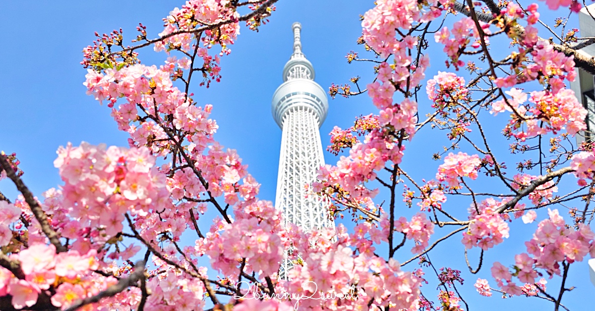【晴空塔東武橋河津櫻】東京最夢幻早櫻拍攝點，二月櫻花＋Skytree同框經典畫面 @嘿!部落!